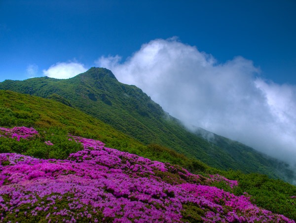 段原より大船山を仰ぐ