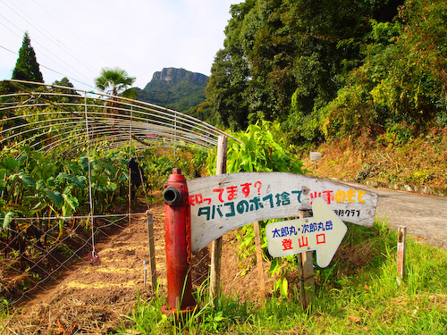 太郎丸・次郎丸岳の登山口