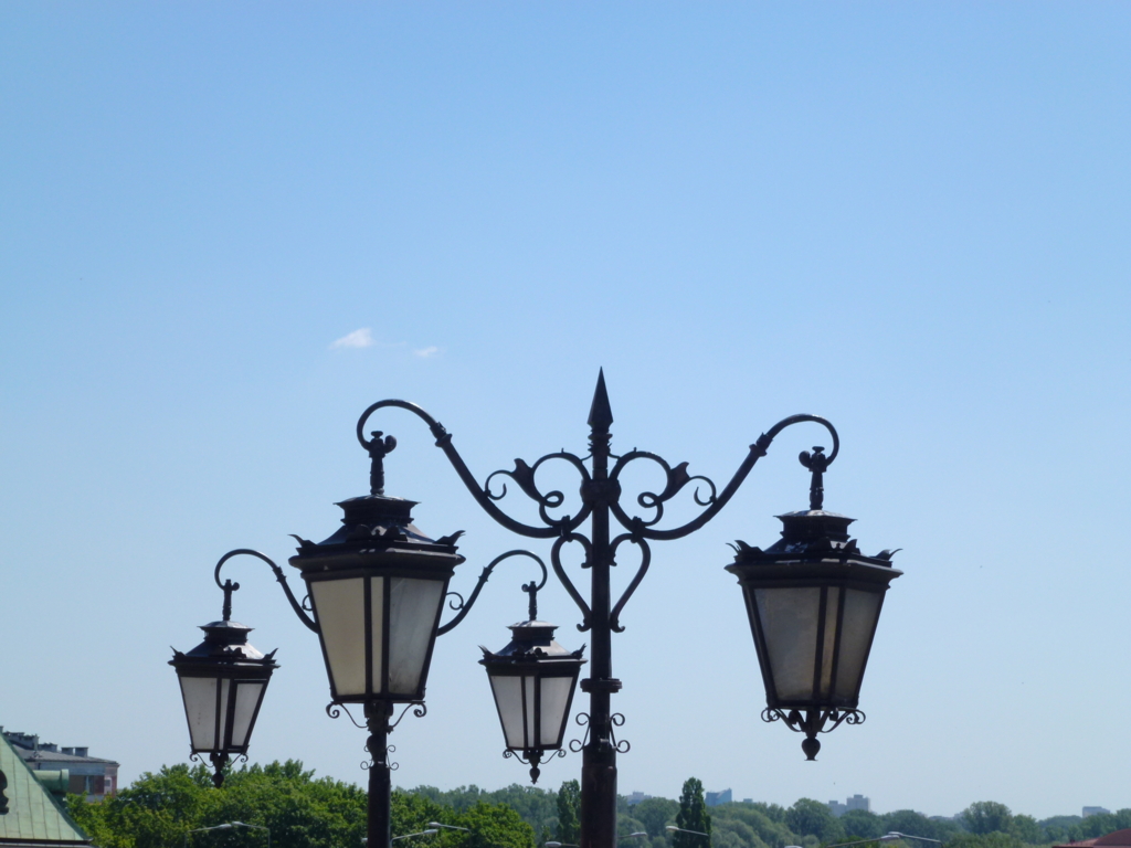 f:id:qualiadiversity:20160803234343j:plain