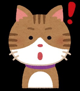 f:id:quality1349:20191105003536j:image f:id:quality1349:20191105003536j:image