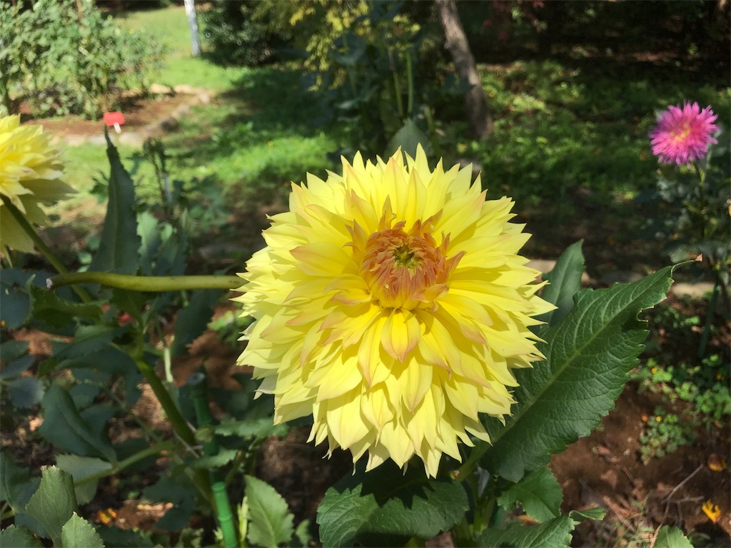 f:id:quartre-quarts:20180917220622j:image f:id:quartre-quarts:20180917220622j:image