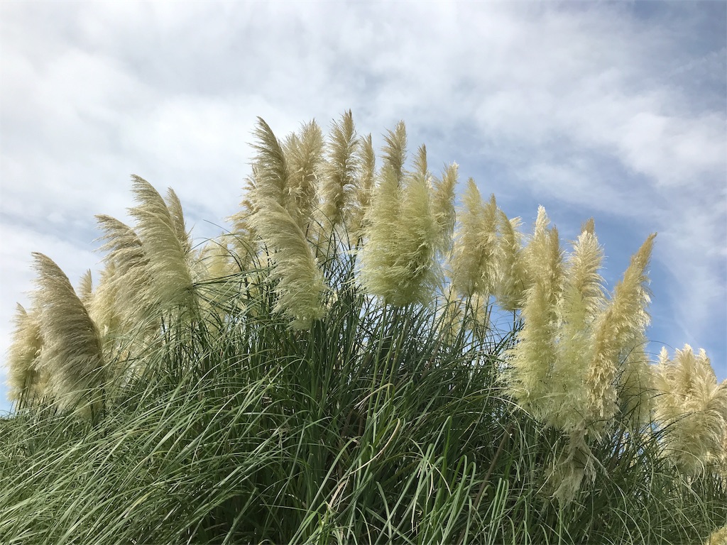 f:id:quartre-quarts:20180917221323j:image f:id:quartre-quarts:20180917221323j:image