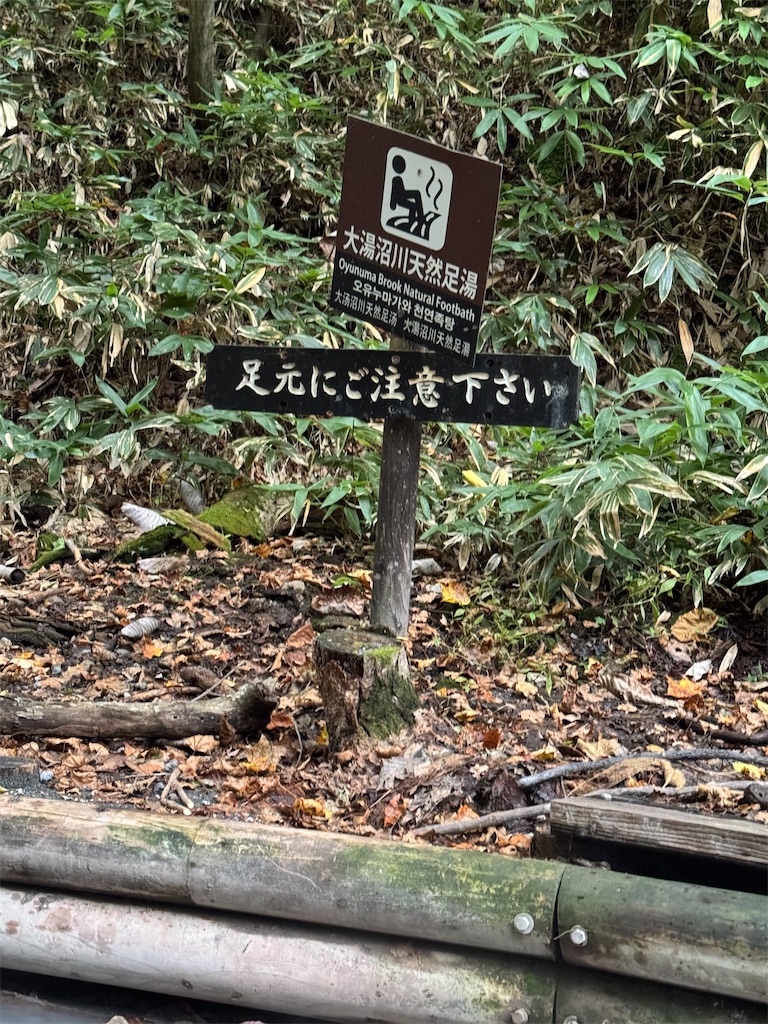 f:id:quartre-quarts:20241009130357j:image