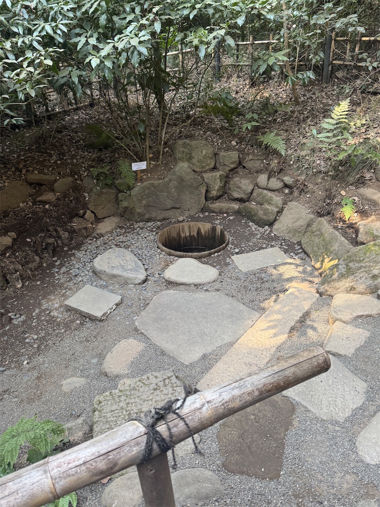 f:id:quartre-quarts:20260202165332j:image