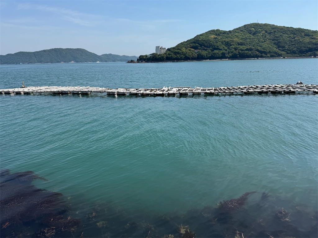 f:id:quartre-quarts:20260611161742j:image