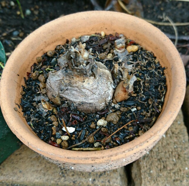 f:id:quatcot:20180916000429j:image