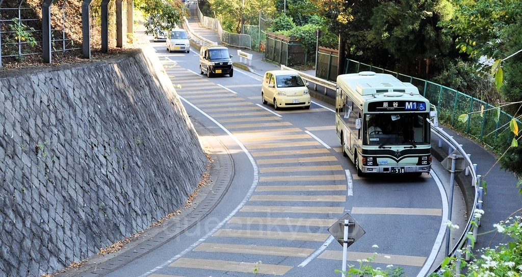 f:id:queenkyoto:20181208230917j:plain f:id:queenkyoto:20181208230917j:plain