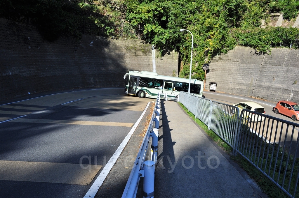 f:id:queenkyoto:20181208232044j:plain f:id:queenkyoto:20181208232044j:plain