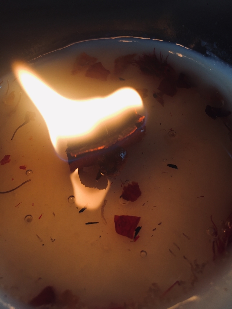 f:id:quest-art:20190220153523j:plain f:id:quest-art:20190220153523j:plain