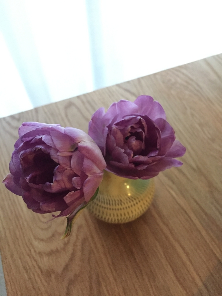 f:id:quest-art:20190306140100j:plain f:id:quest-art:20190306140100j:plain