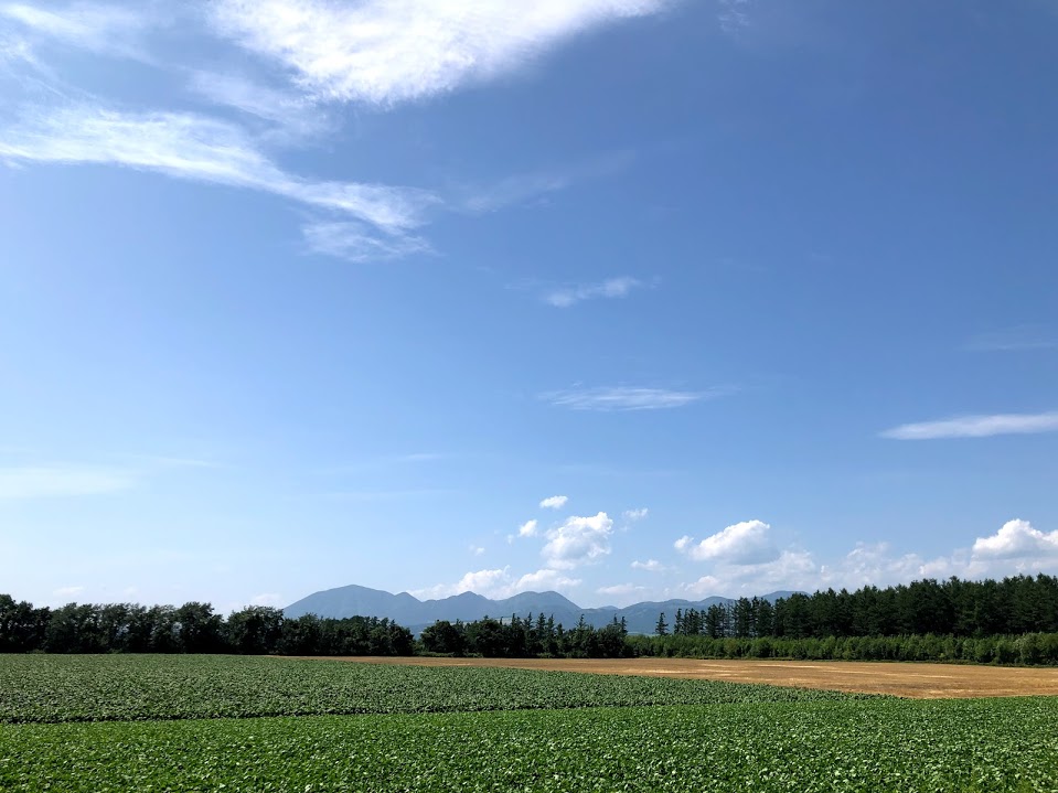 f:id:questshanti:20191012072134j:plain f:id:questshanti:20191012072134j:plain