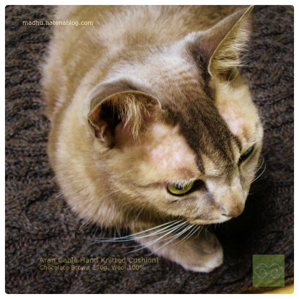 f:id:queuexqueue:20161209230505j:plain f:id:queuexqueue:20161209230505j:plain