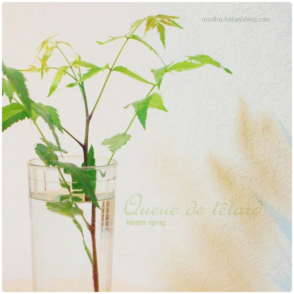 f:id:queuexqueue:20170902030311j:plain f:id:queuexqueue:20170902030311j:plain