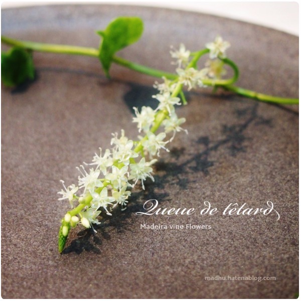 f:id:queuexqueue:20171016192249j:plain f:id:queuexqueue:20171016192249j:plain