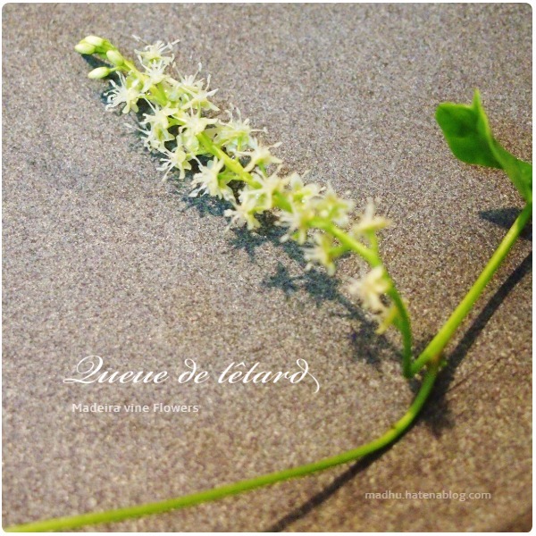 f:id:queuexqueue:20171016192254j:plain f:id:queuexqueue:20171016192254j:plain