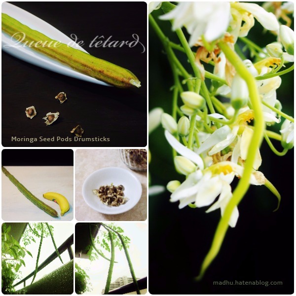 f:id:queuexqueue:20171111035821j:plain f:id:queuexqueue:20171111035821j:plain