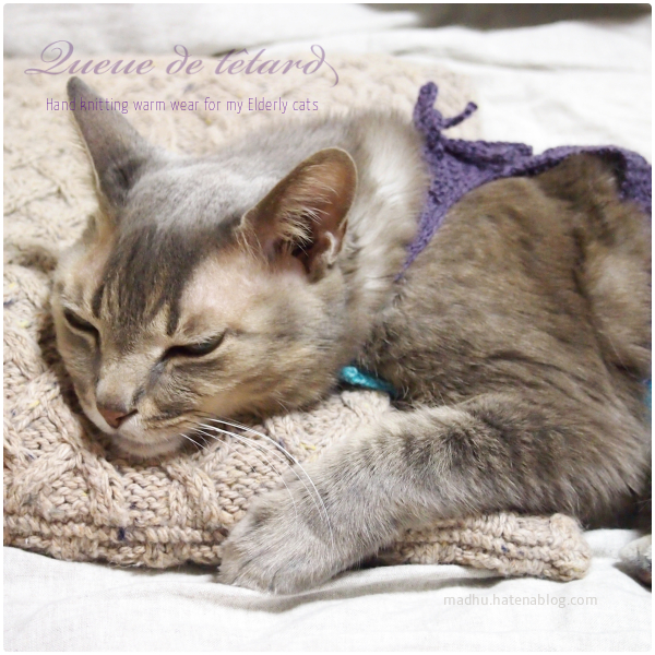 f:id:queuexqueue:20190219064325j:plain f:id:queuexqueue:20190219064325j:plain