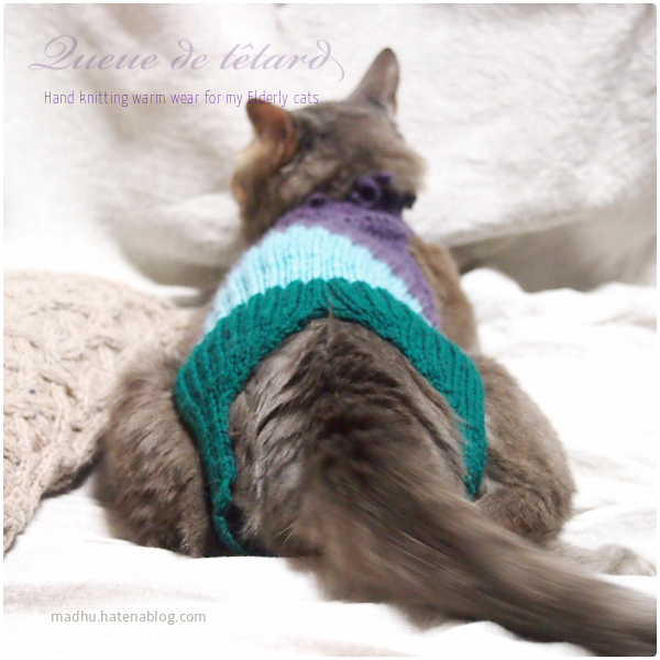 f:id:queuexqueue:20190219064330j:plain f:id:queuexqueue:20190219064330j:plain