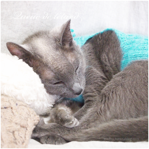 f:id:queuexqueue:20190219090704j:plain f:id:queuexqueue:20190219090704j:plain