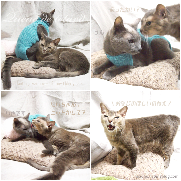 f:id:queuexqueue:20190219090707j:plain f:id:queuexqueue:20190219090707j:plain