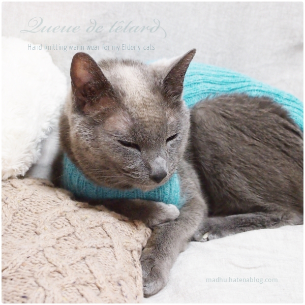 f:id:queuexqueue:20190219091502j:plain f:id:queuexqueue:20190219091502j:plain