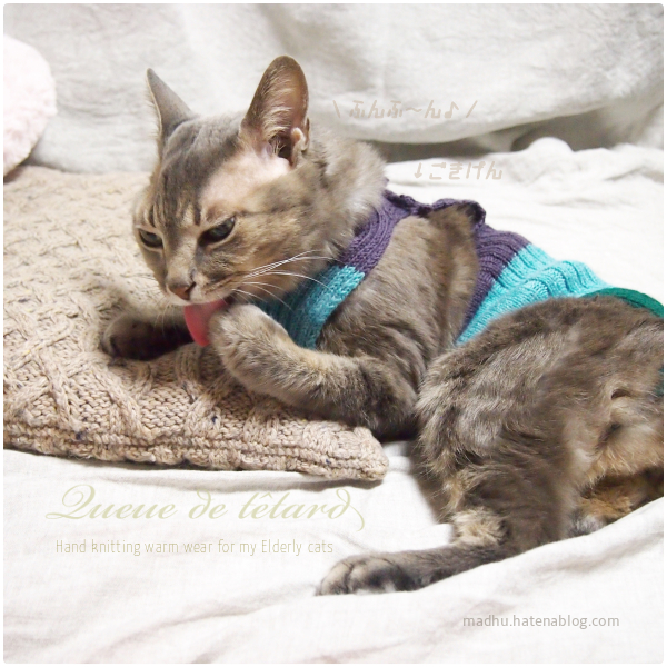 f:id:queuexqueue:20190219091726j:plain f:id:queuexqueue:20190219091726j:plain