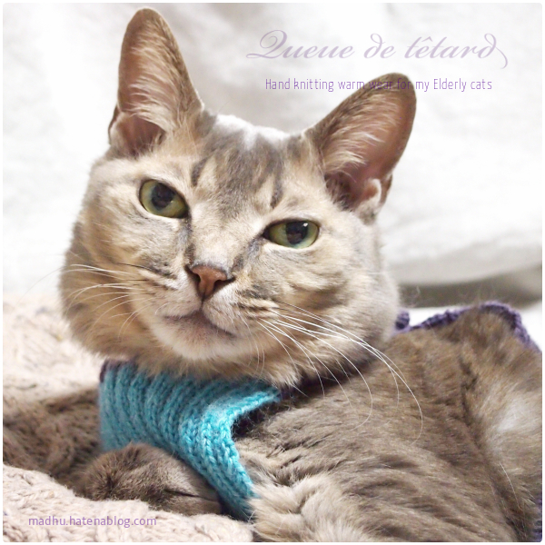 f:id:queuexqueue:20190219092106j:plain f:id:queuexqueue:20190219092106j:plain