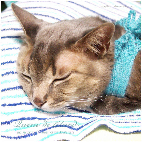 f:id:queuexqueue:20190219094825j:plain f:id:queuexqueue:20190219094825j:plain