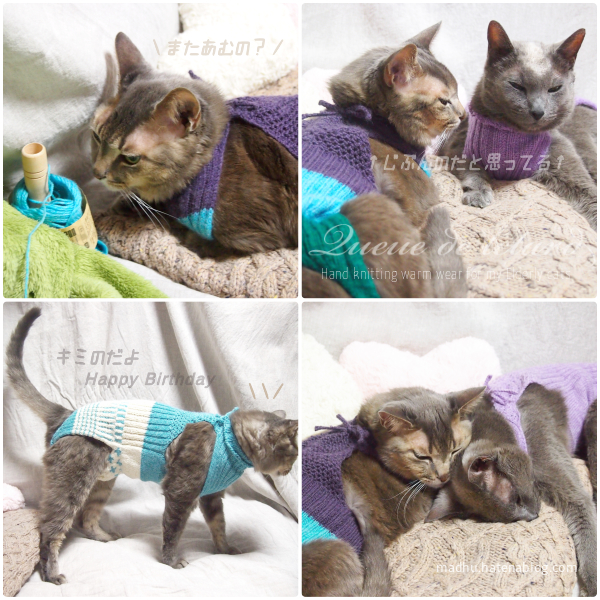 f:id:queuexqueue:20190219094834j:plain f:id:queuexqueue:20190219094834j:plain