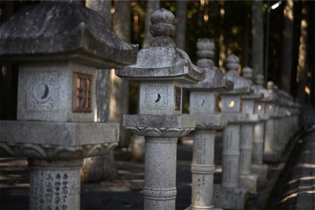 f:id:queyfuku:20250323161349j:image f:id:queyfuku:20250323161349j:image