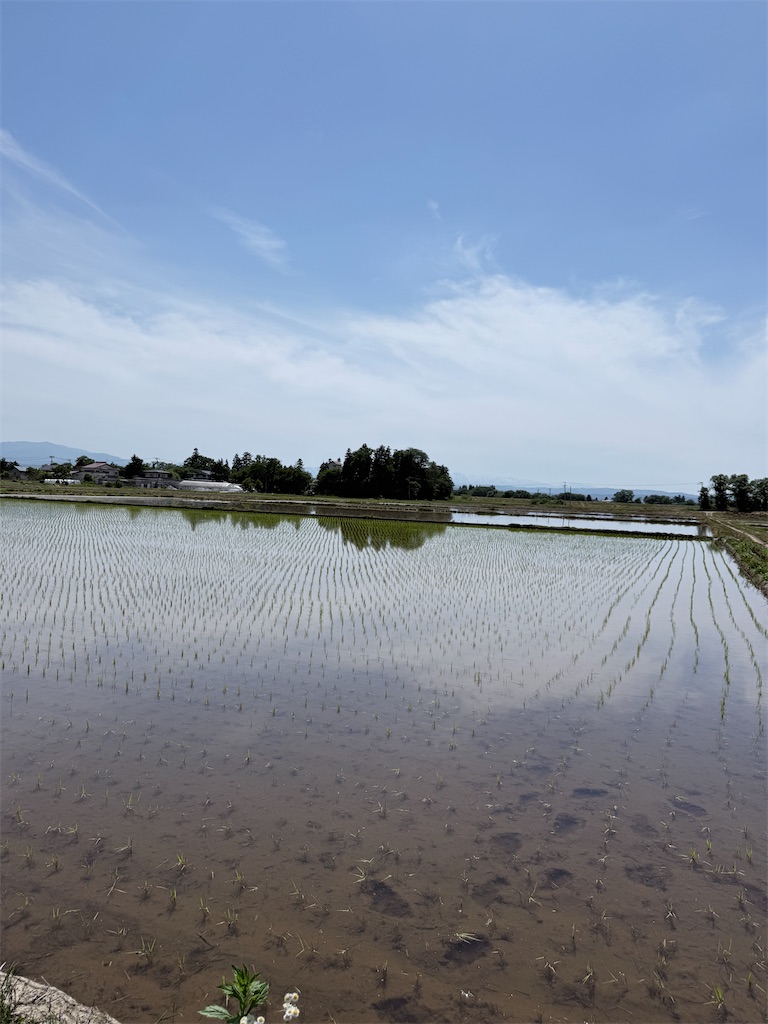 f:id:queyfuku:20260607130528j:image f:id:queyfuku:20260607130528j:image