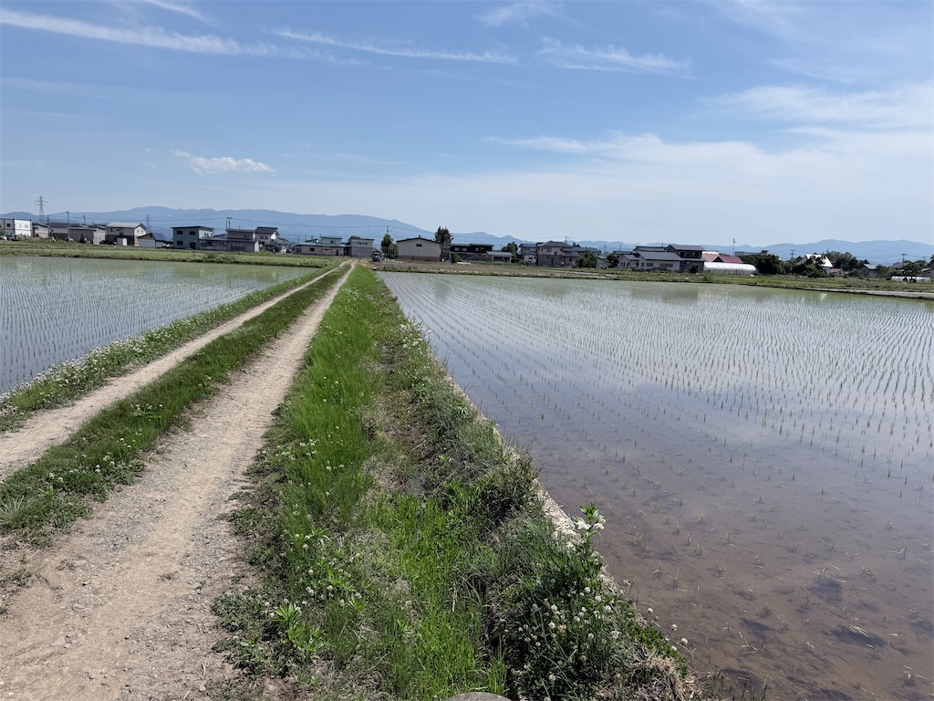 f:id:queyfuku:20260607130531j:image f:id:queyfuku:20260607130531j:image