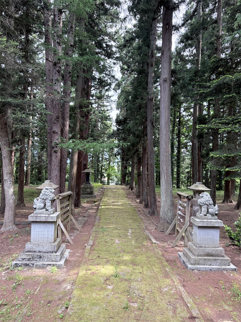 f:id:queyfuku:20260607130618j:image f:id:queyfuku:20260607130618j:image