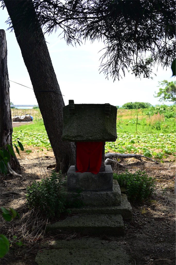 f:id:queyfuku:20260607130644j:image f:id:queyfuku:20260607130644j:image