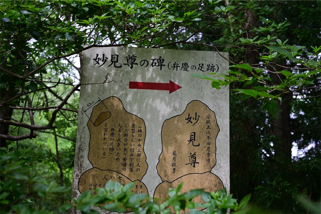 f:id:queyfuku:20260607131354j:image f:id:queyfuku:20260607131354j:image