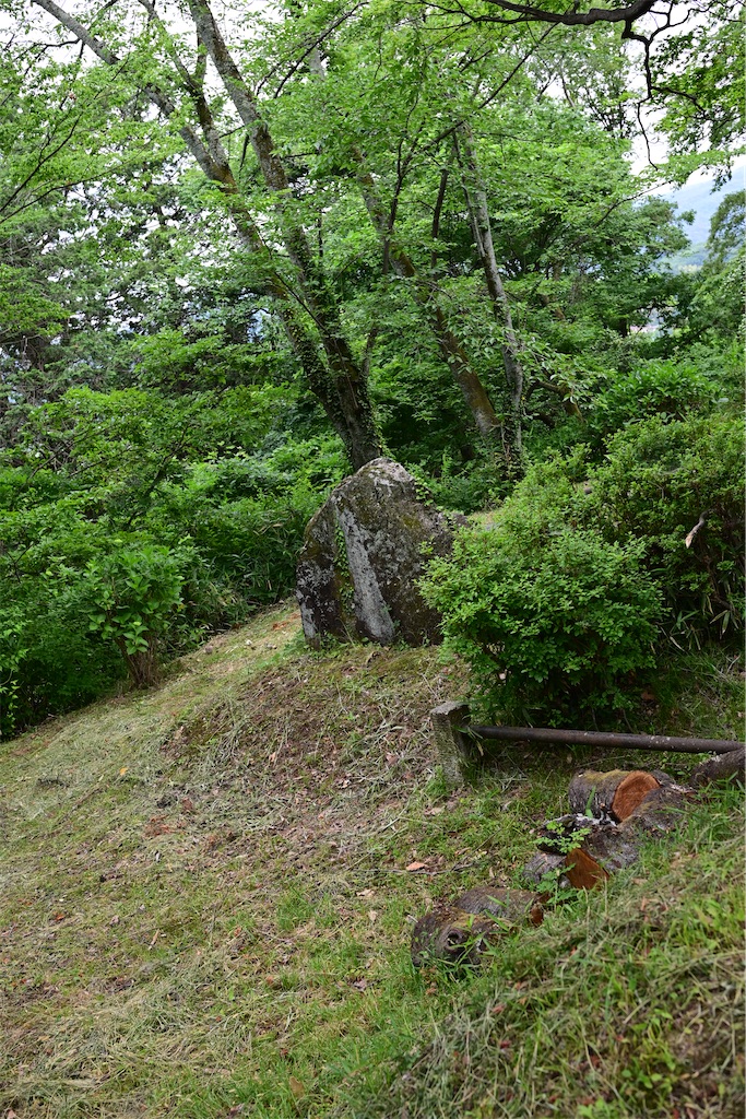 f:id:queyfuku:20260607131407j:image f:id:queyfuku:20260607131407j:image