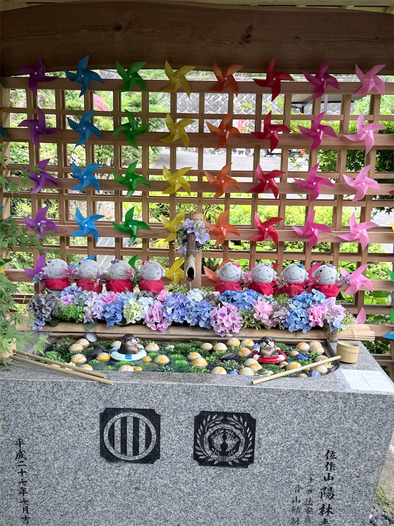 f:id:queyfuku:20260607131412j:image f:id:queyfuku:20260607131412j:image
