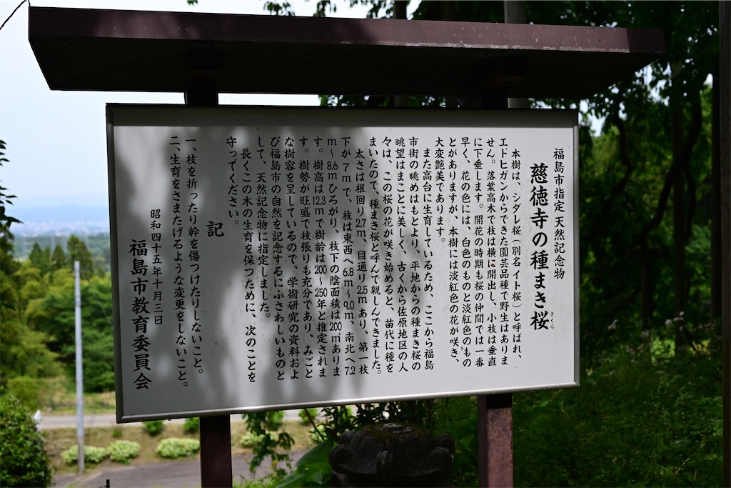 f:id:queyfuku:20260607131519j:image f:id:queyfuku:20260607131519j:image