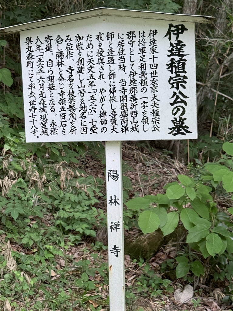f:id:queyfuku:20260607131544j:image f:id:queyfuku:20260607131544j:image