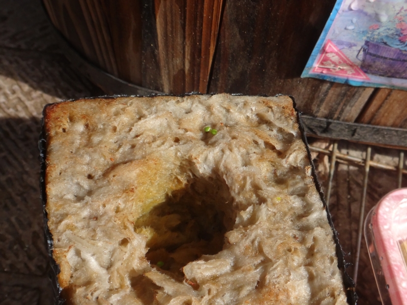 f:id:quick_past:20160412191343j:image:w640