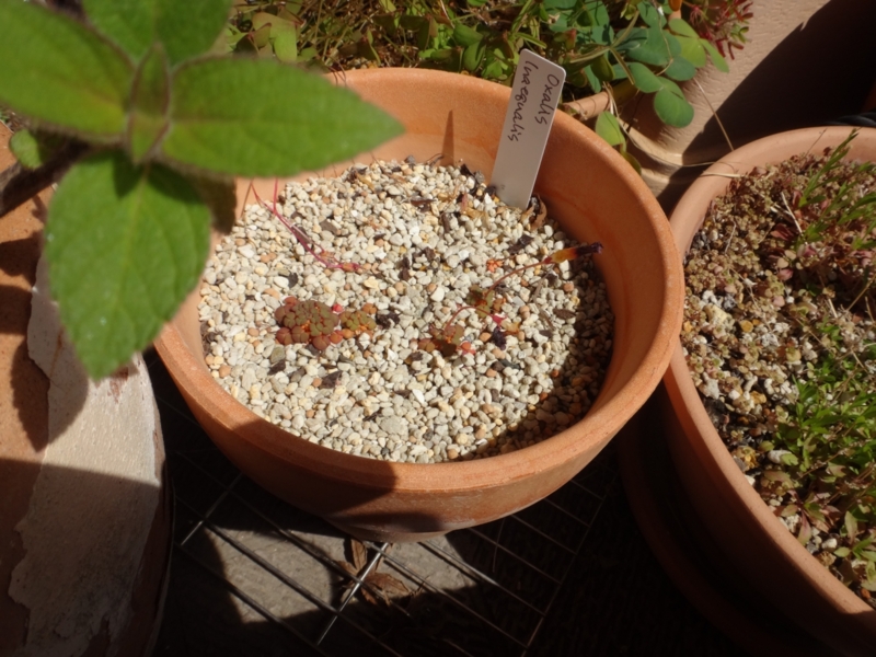 f:id:quick_past:20160412191345j:image:w640