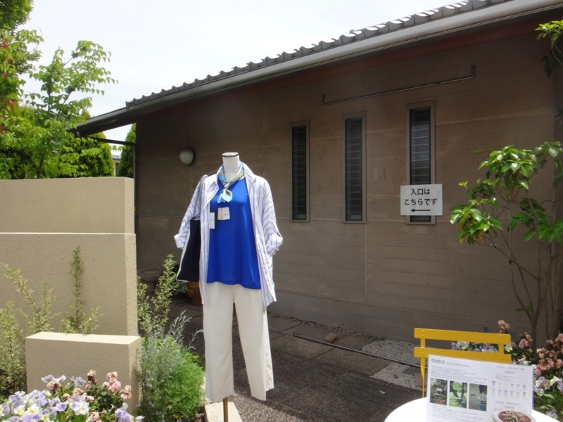 f:id:quick_past:20160509003831j:image:w360