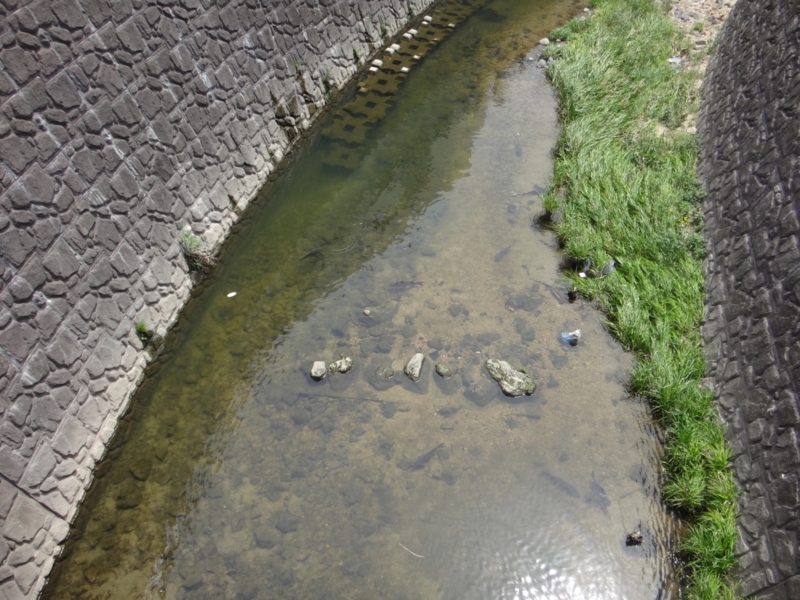 f:id:quick_past:20160509003834j:image:w360