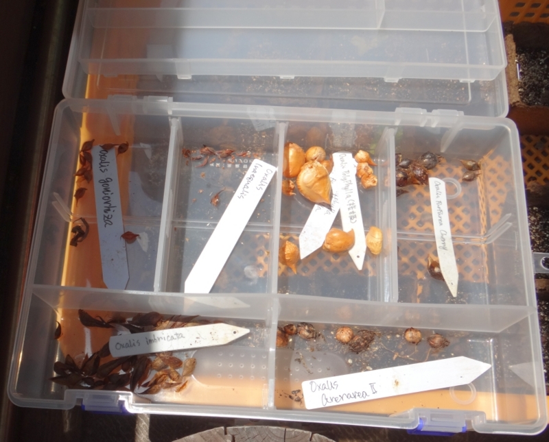 f:id:quick_past:20160525234752j:image