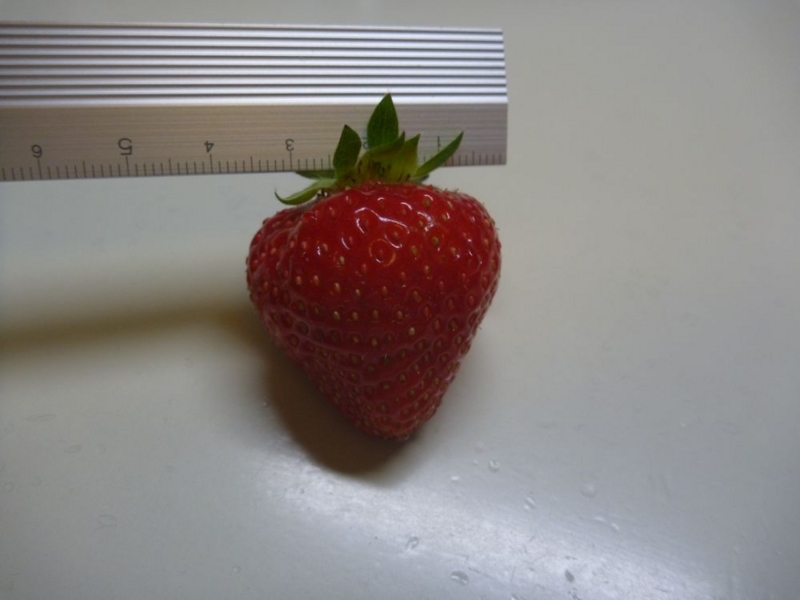 f:id:quick_past:20170730222513j:image:w360