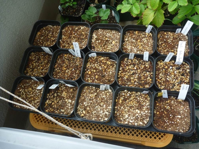 f:id:quick_past:20170828144253j:image:w360