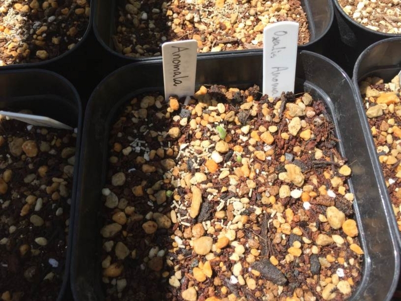 f:id:quick_past:20170909161559j:image:w360