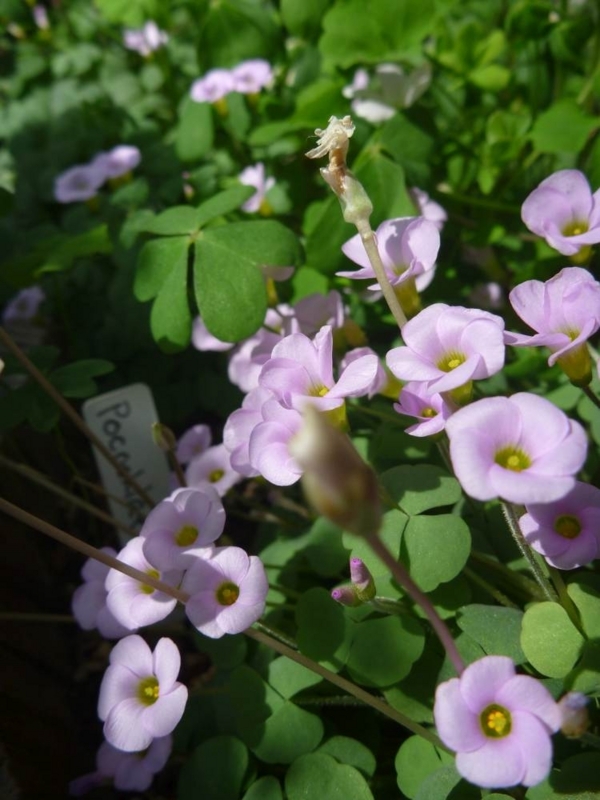 f:id:quick_past:20170911200531j:image:w360