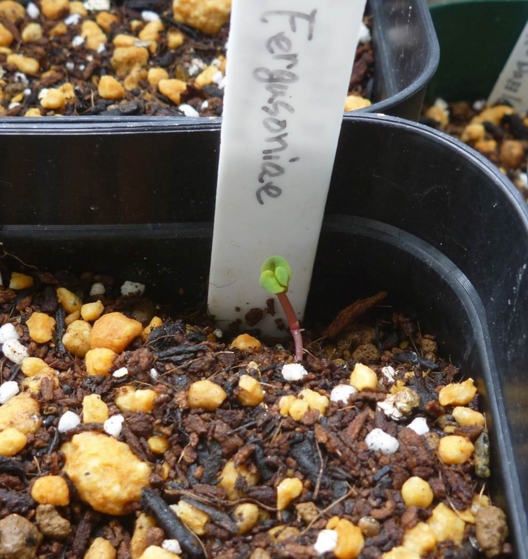 f:id:quick_past:20170912124321j:image:w360