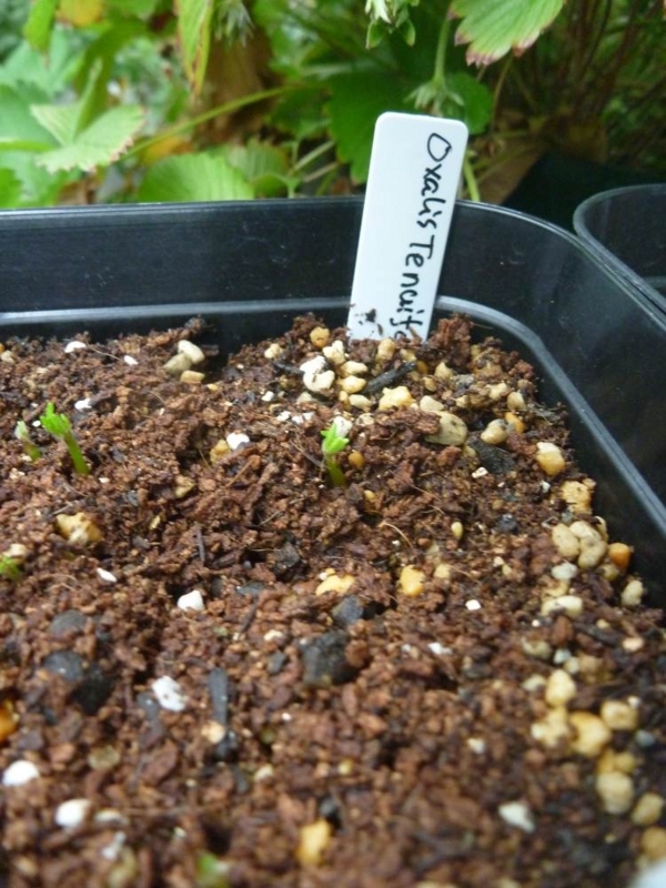 f:id:quick_past:20170916171313j:image:w360